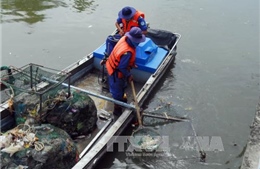 Hàng tấn cá chết, kênh Nhiêu Lộc - Thị Nghè bốc mùi hôi thối